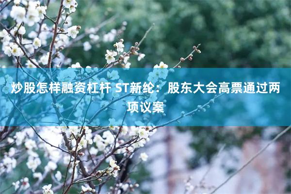 炒股怎样融资杠杆 ST新纶：股东大会高票通过两项议案