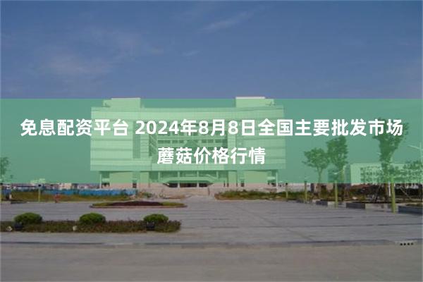 免息配资平台 2024年8月8日全国主要批发市场蘑菇价格行情