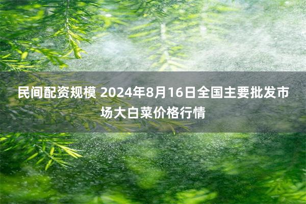 民间配资规模 2024年8月16日全国主要批发市场大白菜价格行情