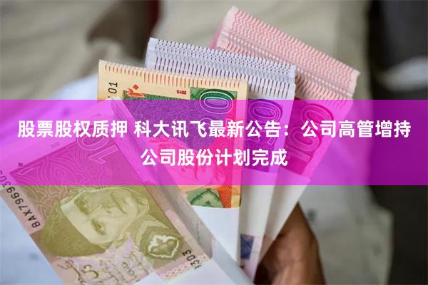 股票股权质押 科大讯飞最新公告：公司高管增持公司股份计划完成