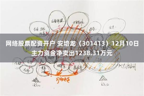 网络股票配资开户 安培龙（301413）12月10日主力资金净卖出1238.31万元