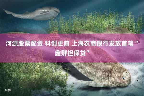 河源股票配资 科创更前 上海农商银行发放首笔“鑫孵担保贷”