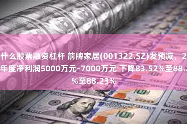 什么股票融资杠杆 箭牌家居(001322.SZ)发预减，2024年度净利润5000万元–7000万元 下降83.52%至88.23%