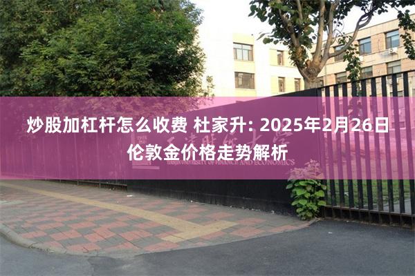 炒股加杠杆怎么收费 杜家升: 2025年2月26日伦敦金价格走势解析